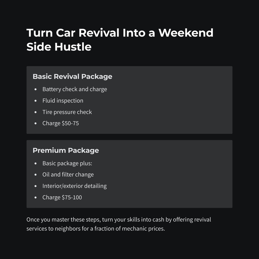 DIY Car Revival Guide: Auto Maintenance & Battery Reconditioning (Digital Download)