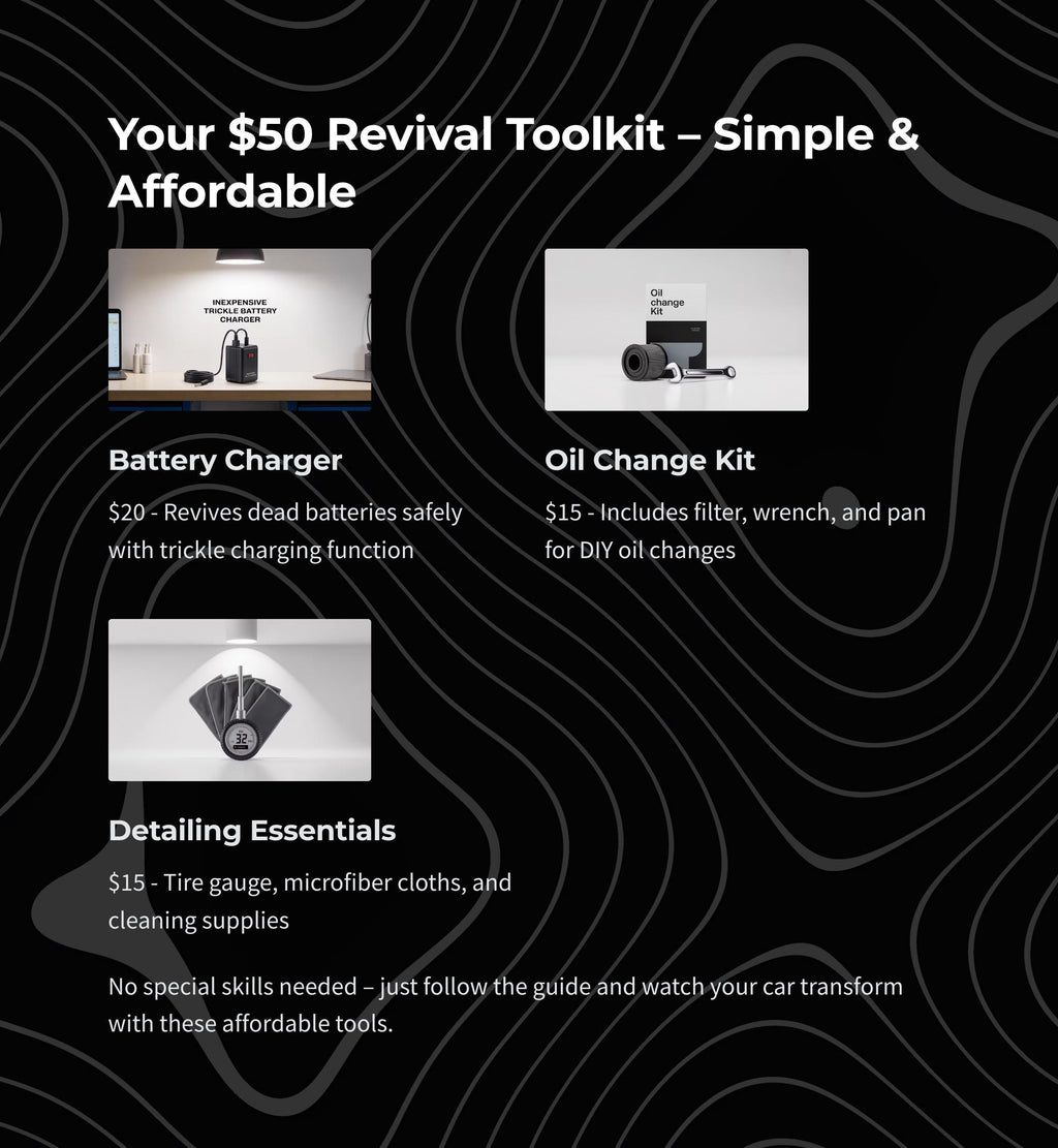 DIY Car Revival Guide: Auto Maintenance & Battery Reconditioning (Digital Download)