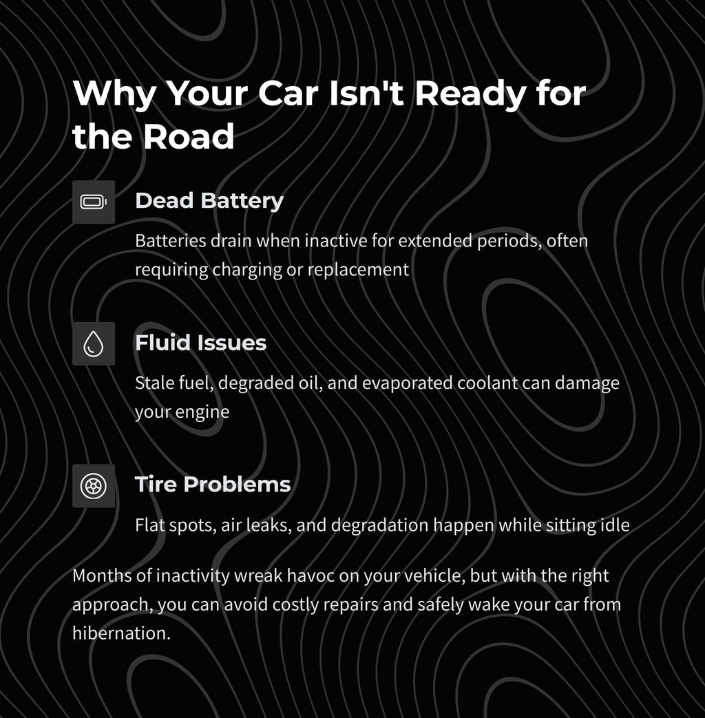 DIY Car Revival Guide: Auto Maintenance & Battery Reconditioning (Digital Download)