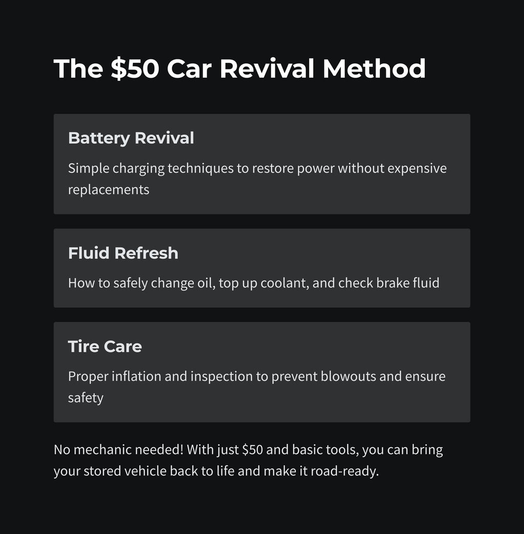 DIY Car Revival Guide: Auto Maintenance & Battery Reconditioning (Digital Download)